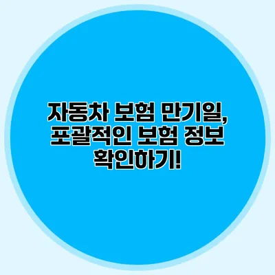 자동차 보험 만기일, 포괄적인 보험 정보 확인하기!