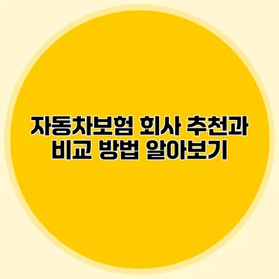 자동차보험 회사 추천과 비교 방법 알아보기