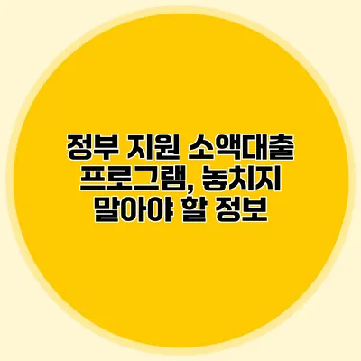 정부 지원 소액대출 프로그램, 놓치지 말아야 할 정보