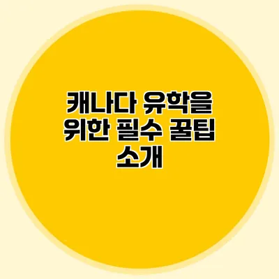 캐나다 유학을 위한 필수 꿀팁 소개