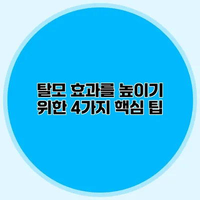 탈모 효과를 높이기 위한 4가지 핵심 팁