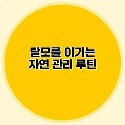 탈모를 이기는 자연 관리 루틴