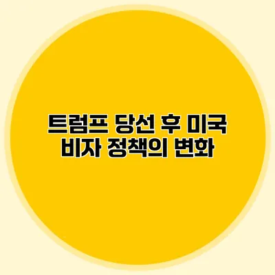 트럼프 당선 후 미국 비자 정책의 변화