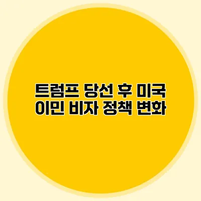 트럼프 당선 후 미국 이민 비자 정책 변화