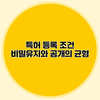 특허 등록 조건 비밀유지와 공개의 균형