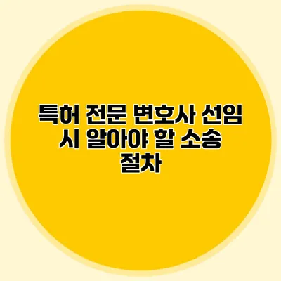 특허 전문 변호사 선임 시 알아야 할 소송 절차