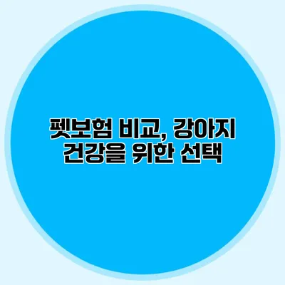 펫보험 비교, 강아지 건강을 위한 선택