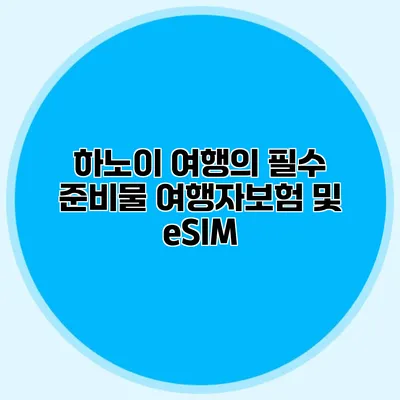 하노이 여행의 필수 준비물 여행자보험 및 eSIM