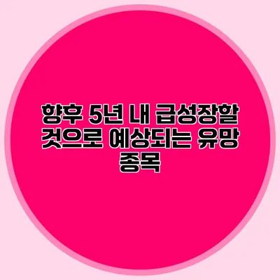 향후 5년 내 급성장할 것으로 예상되는 유망 종목