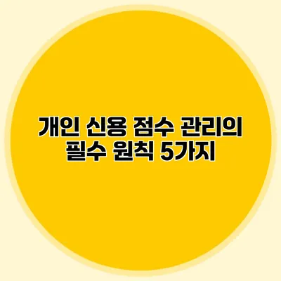 개인 신용 점수 관리의 필수 원칙 5가지