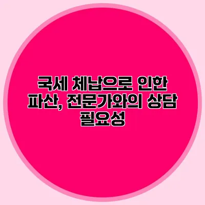 국세 체납으로 인한 파산, 전문가와의 상담 필요성