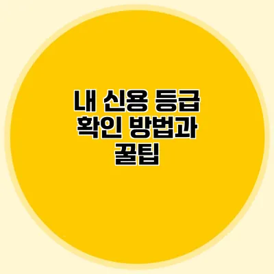 내 신용 등급 확인 방법과 꿀팁