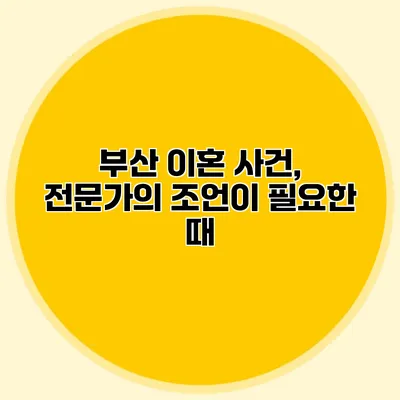 부산 이혼 사건, 전문가의 조언이 필요한 때