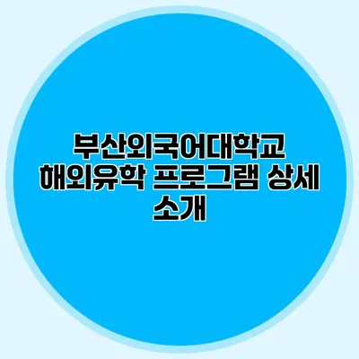 부산외국어대학교 해외유학 프로그램 상세 소개