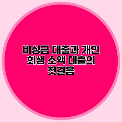 비상금 대출과 개인 회생 소액 대출의 첫걸음