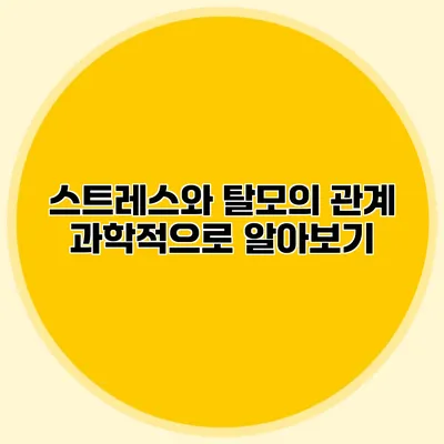 스트레스와 탈모의 관계 과학적으로 알아보기