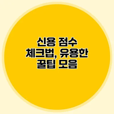 신용 점수 체크법, 유용한 꿀팁 모음