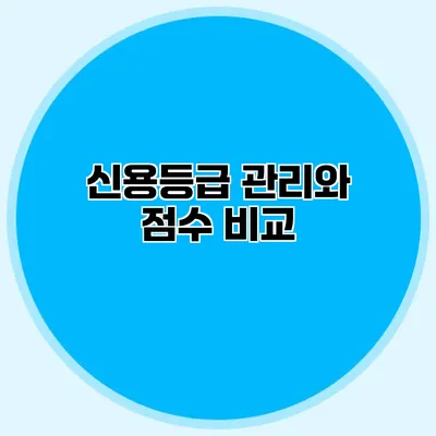 신용등급 관리와 점수 비교