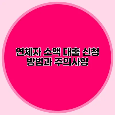 연체자 소액 대출 신청 방법과 주의사항