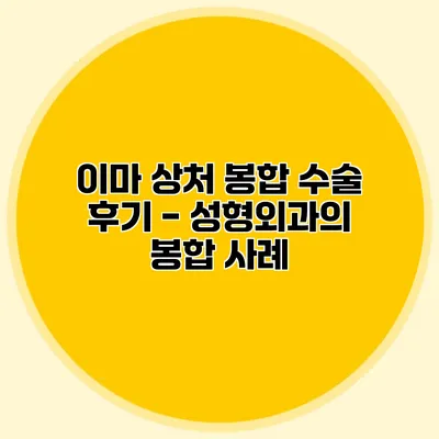 이마 상처 봉합 수술 후기 - 성형외과의 봉합 사례