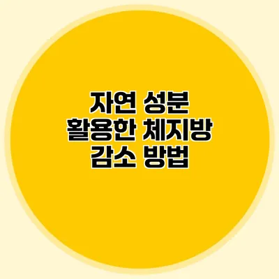 자연 성분 활용한 체지방 감소 방법