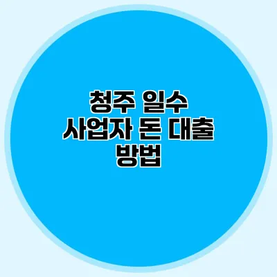 청주 일수 사업자 돈 대출 방법