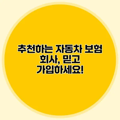 추천하는 자동차 보험 회사, 믿고 가입하세요!