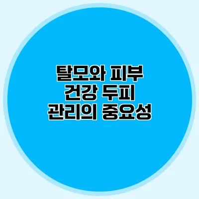 탈모와 피부 건강 두피 관리의 중요성